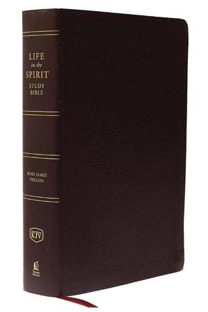 KJV Life in the Spirit Study Bible