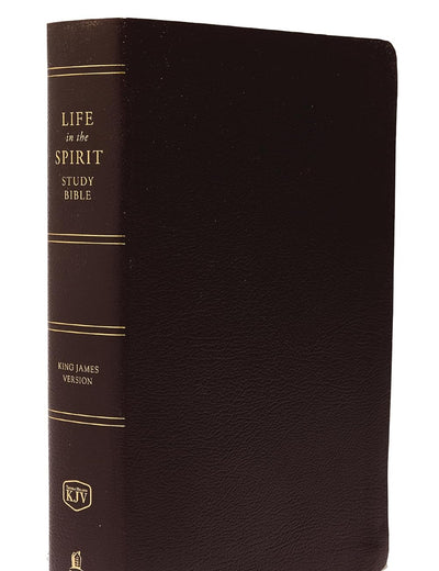 KJV Life in the Spirit Study Bible
