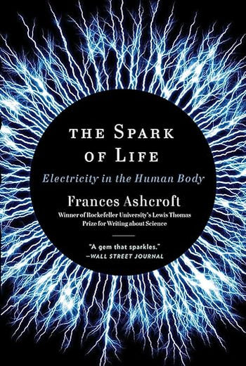 The Spark of Life: Electricity in the Human Body