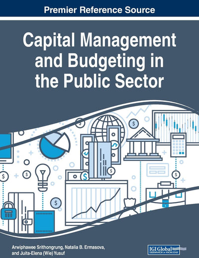 Capital Management and Budgeting in the Public Sector (Advances in Public Policy and Administration)