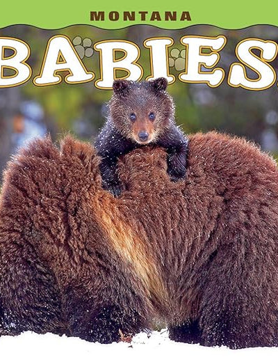 Montana Babies! (Babies! (Farcountry Press))