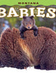 Montana Babies! (Babies! (Farcountry Press))