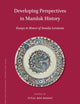 Developing Perspectives in Mamluk History: Essays in Honor of Amalia Levanoni (Islamic History and Civilization, 143)