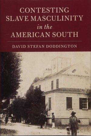 Contesting Slave Masculinity in the American South (Cambridge Studies on the American South)