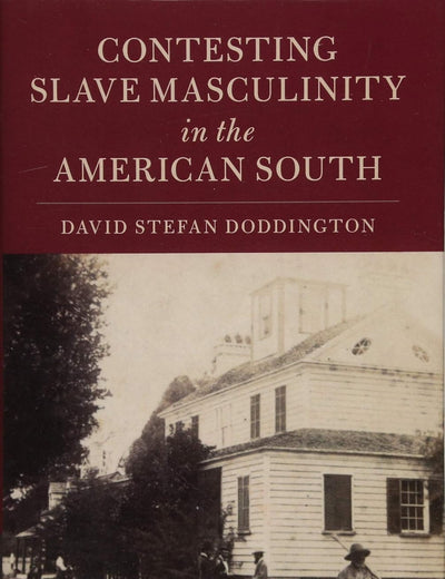 Contesting Slave Masculinity in the American South (Cambridge Studies on the American South)