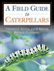 Caterpillars in the Field and Garden: A Field Guide to the Butterfly Caterpillars of North America