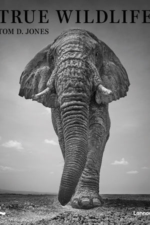 True Wildlife