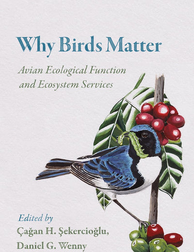 Why Birds Matter: Avian Ecological Function and Ecosystem Services