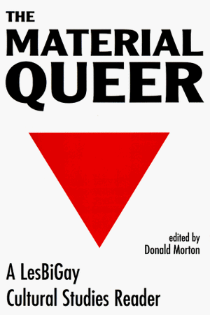 The Material Queer: A Lesbigay Cultural Studies Reader (Queer Critique)
