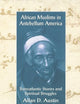African Muslims in Antebellum America