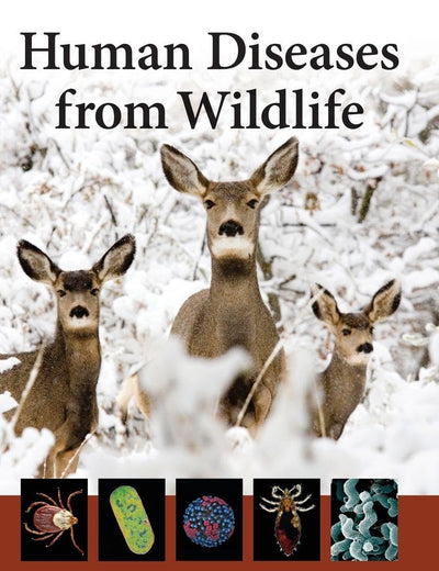 Human Diseases from Wildlife