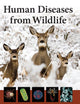 Human Diseases from Wildlife