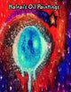 Halrai's Oil Paintings