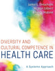 Diversity and Cultural Competence in Health Care: A Systems Approach