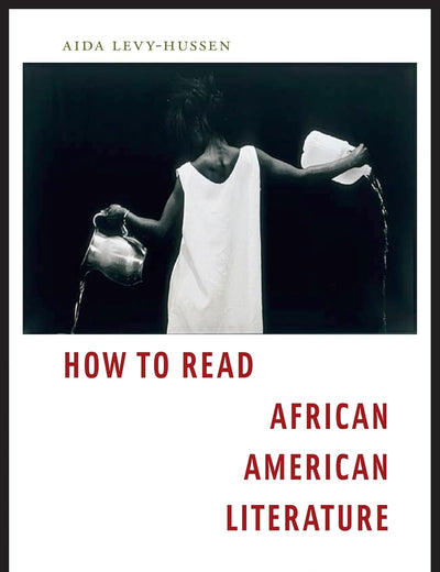 How to Read African American Literature: Post-Civil Rights Fiction and the Task of Interpretation
