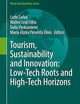 Tourism, Sustainability and Innovation: Low-Tech Roots and High-Tech Horizons (World Sustainability Series)