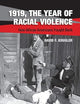 1919, The Year of Racial Violence: How African Americans Fought Back