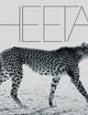 Mark Segal: Cheetah