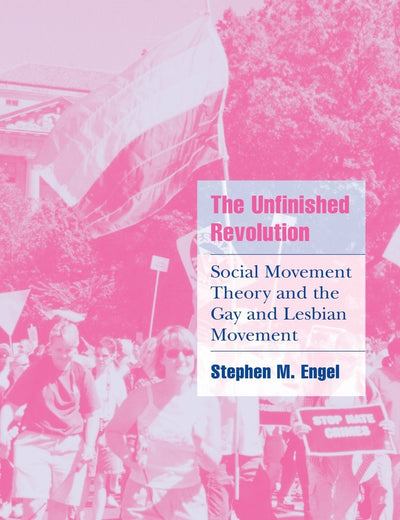 The Unfinished Revolution: Social Movement Theory and the Gay and Lesbian Movement (Cambridge Cultural Social Studies)