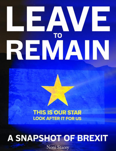 Leave to Remain: A Snapshot of Brexit