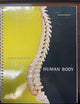 Brief Atlas of the Human Body, A