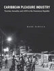 Caribbean Pleasure Industry: Tourism, Sexuality, and AIDS in the Dominican Republic (Worlds of Desire: The Chicago Series on Sexuality, Gender, and Culture)