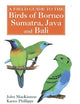 A Field Guide to the Birds of Borneo, Sumatra, Java, and Bali: The Greater Sunda Islands