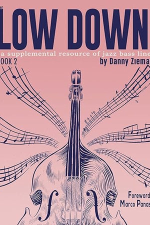 The Low Down Book 2: A Supplemental Resource of Jazz Bass Lines