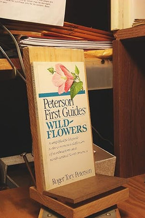 Peterson First Guide to Wildflowers: Of Northeastern and North-Central North America (Peterson First Guides)