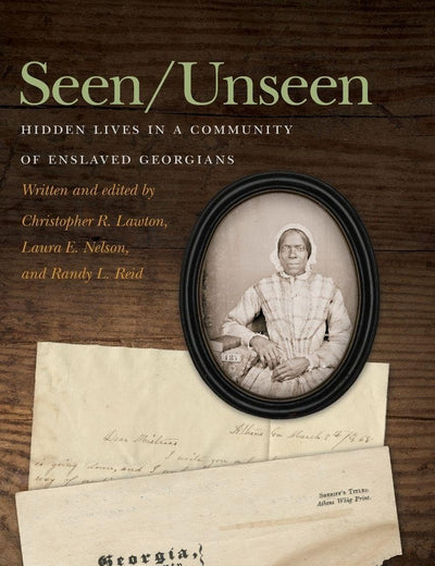 Seen/Unseen: Hidden Lives in a Community of Enslaved Georgians (New Perspectives on the Civil War Era)