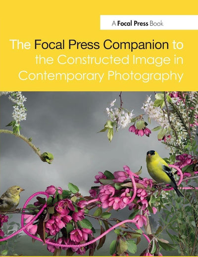 The Focal Press Companion to the Constructed Image in Contemporary Photography