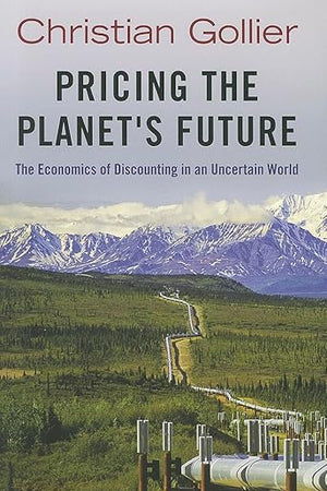 Pricing the Planet's Future: The Economics of Discounting in an Uncertain World
