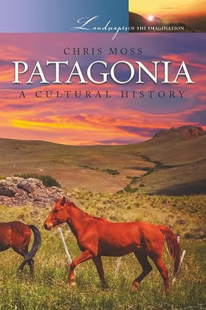 Patagonia: A Cultural History (Landscapes of the Imagination)