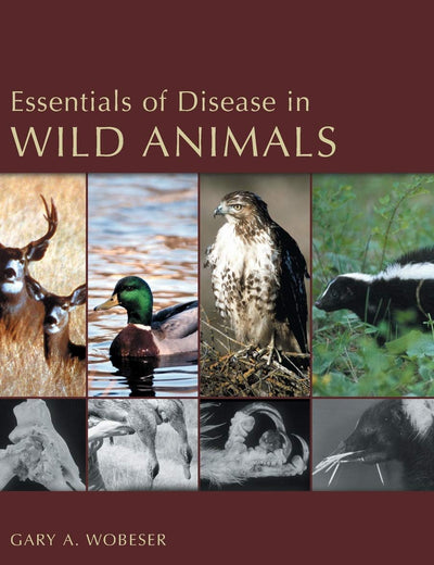 Essentials of Disease in Wild Animals