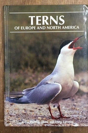 Terns of Europe and North America