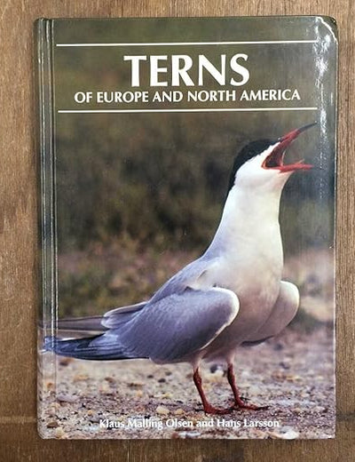 Terns of Europe and North America