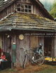 Joel Sternfeld: Sweet Earth
