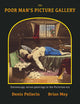 The Poor Man's Picture Gallery: Stereoscopy versus Paintings in the Victorian Era