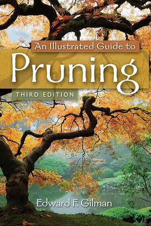 An Illustrated Guide to Pruning