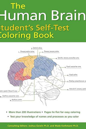 Human Brain Student's Self-Test Coloring Book (Barron's Test Prep)