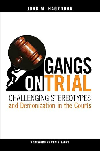 Gangs on Trial: Challenging Stereotypes and Demonization in the Courts (Studies in Transgression)