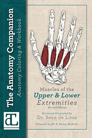 The Anatomy Companion Coloring & Workbook: Muscles of the Upper and Lower Extremities