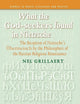 What the God-seekers found in Nietzsche: The Reception of Nietzsche’s Übermensch by the Philosophers of the Russian Religious Renaissance (Studies in Slavic Literature and Poetics, 50)