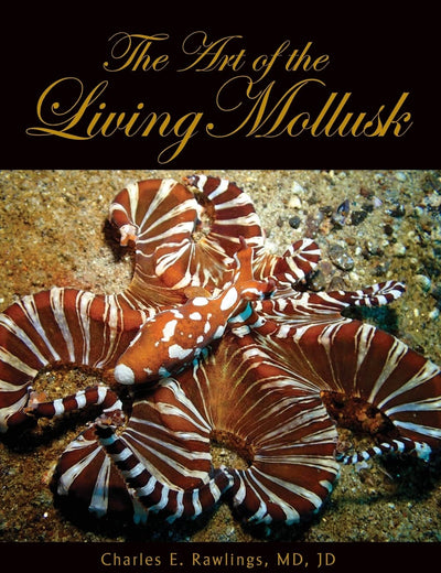 The Art of Living Mollusks