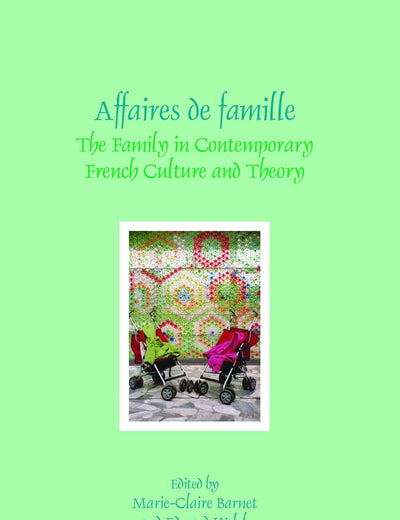 Affaires de famille: The Family in Contemporary French Culture and Theory (Faux Titre, 292)