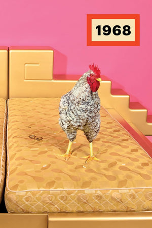 1968: Radical Italian Design: Photographs by Maurizio Cattelan & Pieropaolo Ferrari