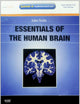 Essentials of the Human Brain: With STUDENT CONSULT Online Access