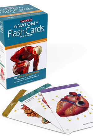 Anatomy Flash Cards (Barron's Test Prep)