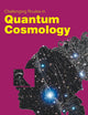 Challenging Routes In Quantum Cosmology