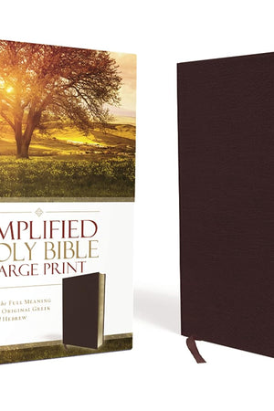 Amplified Holy Bible, Large Print, Bonded Leather, Burgundy: Captures the Full Meaning Behind the Original Greek and Hebrew